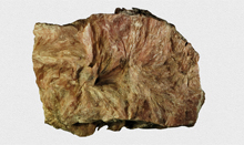 滑(hua)石(shi)磨粉